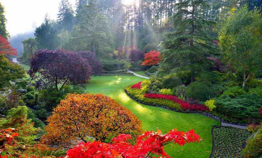 باغ گلهای طبیعی دنیا 1