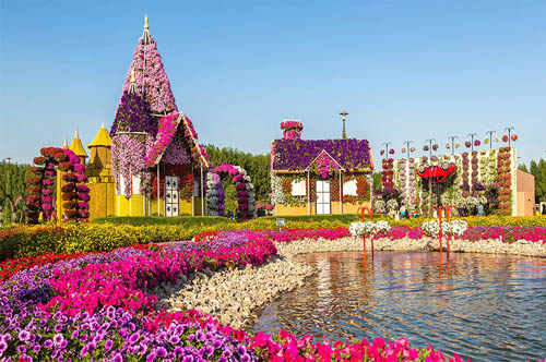 بزرگترین باغ گلهای طبیعی دنیا 13