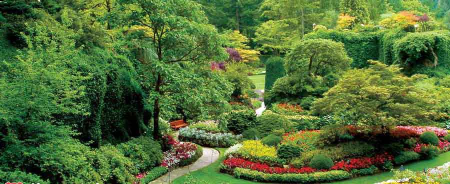 باغ گلهای طبیعی دنیا 3
