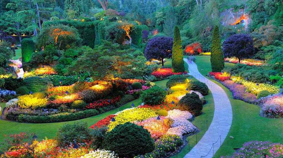 باغ گلهای طبیعی دنیا 6
