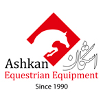 logo 11